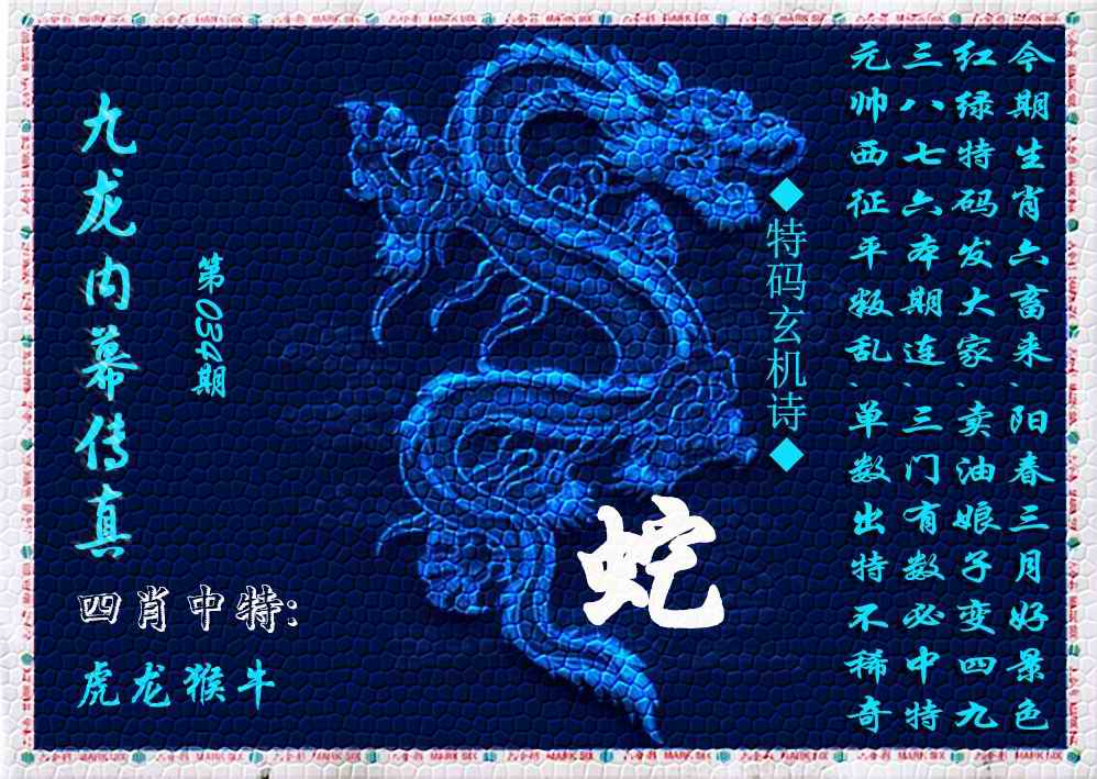 034期九龙内幕传真(新上市)[图]