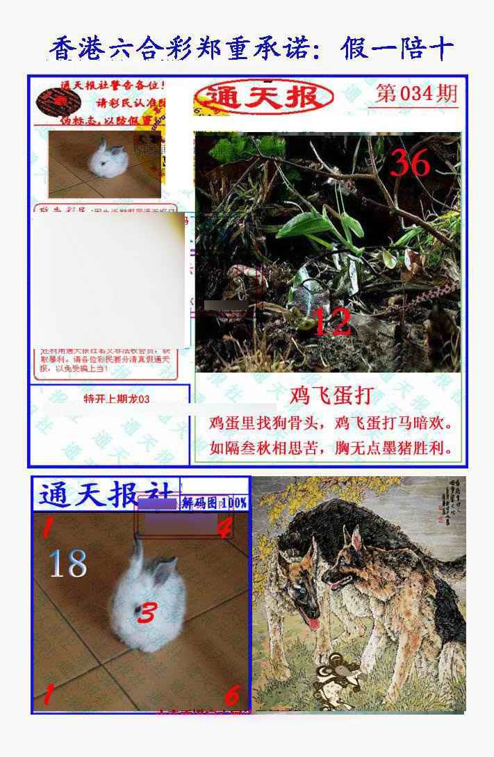 034期假一陪十通天报[图]